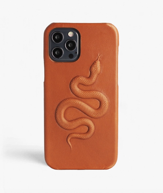 Hoesje iPhone 12/iPhone 12 Pro Snake Bruin