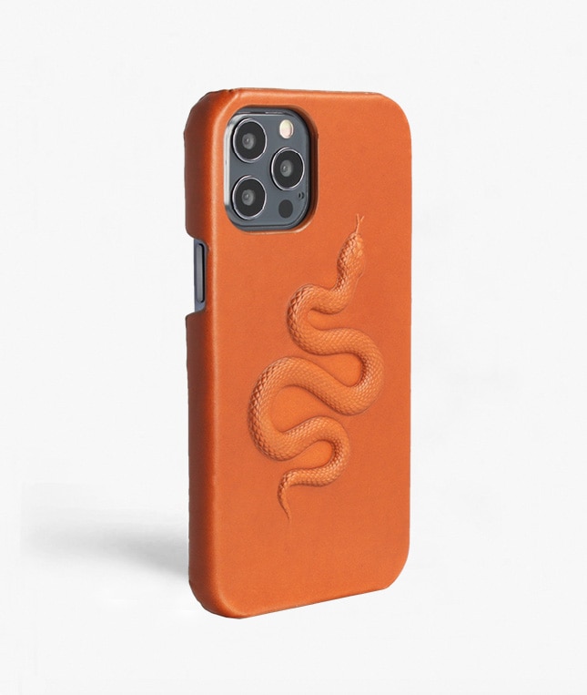Hoesje iPhone 12/iPhone 12 Pro Snake Bruin