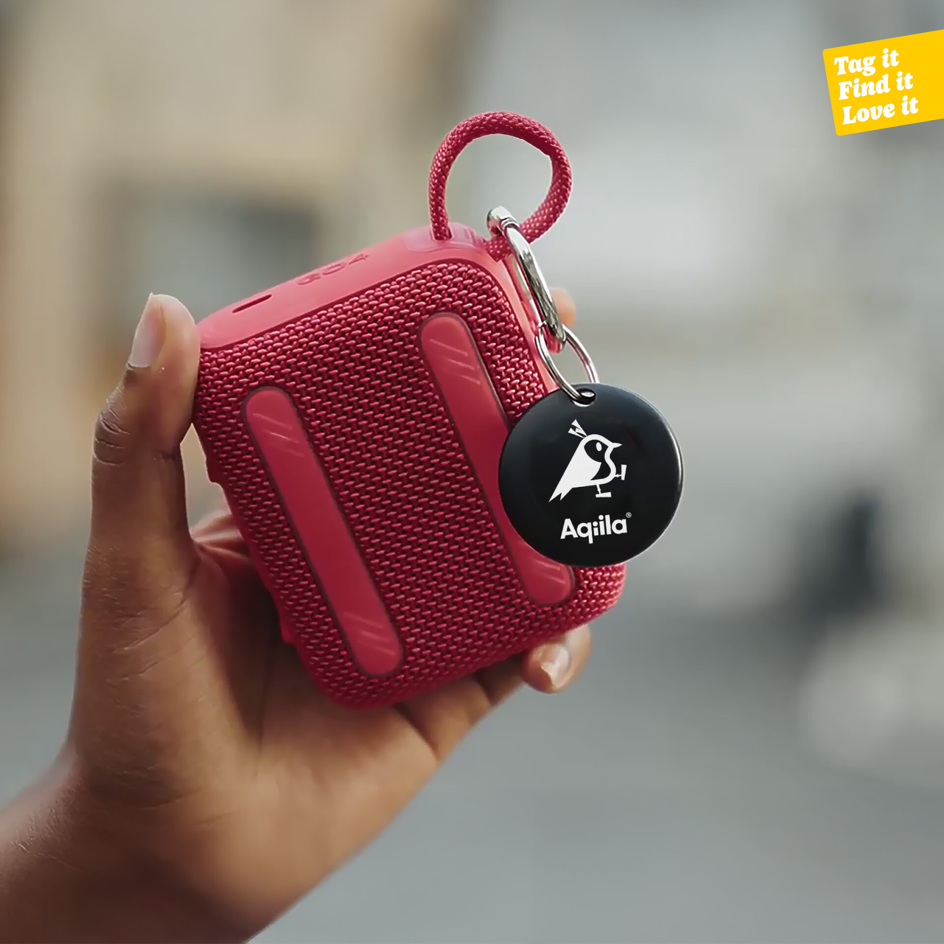 Tagbird Sleutelhanger (4-pack) 