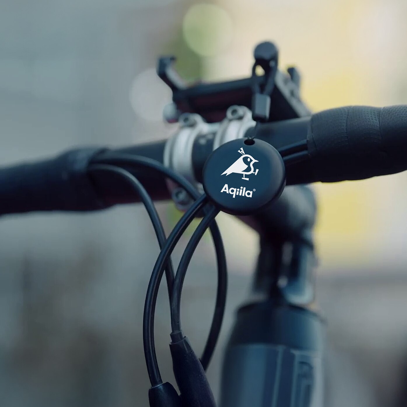Tagbird Sleutelhanger (4-pack) 