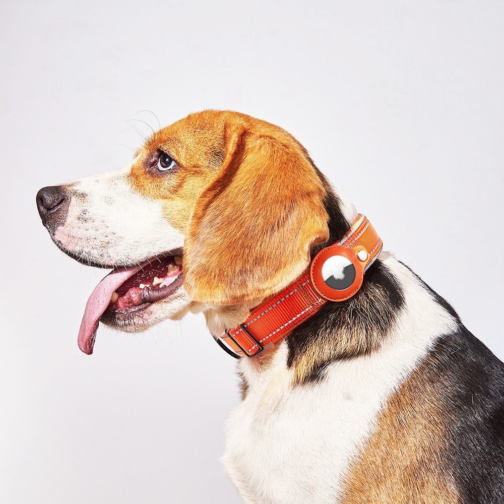Apple AirTag Hondenhalsband met Reflector L zwart