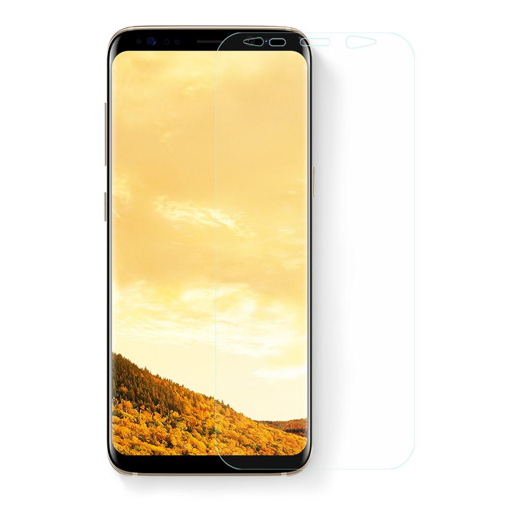 Samsung Galaxy S8 Screenprotector